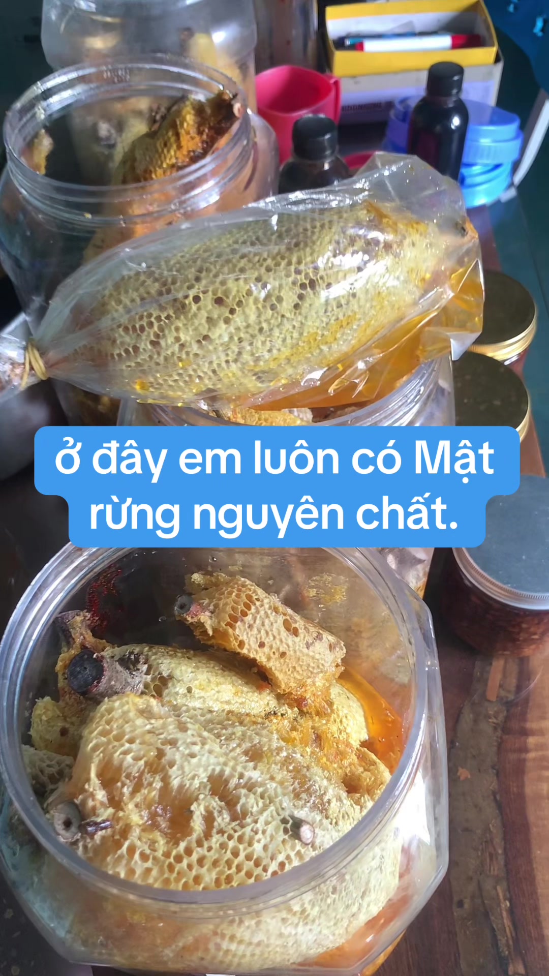 @Mật rừng TH&Agrave;NH ĐẠT