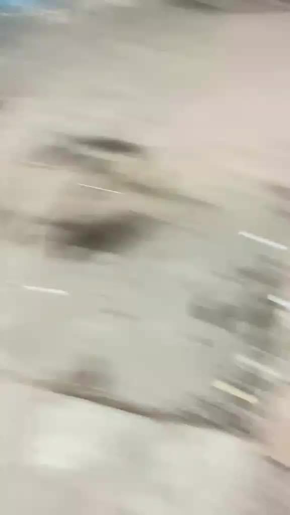 @S. I. I. X Z. E. N. ๐ฟ๐ฆ
