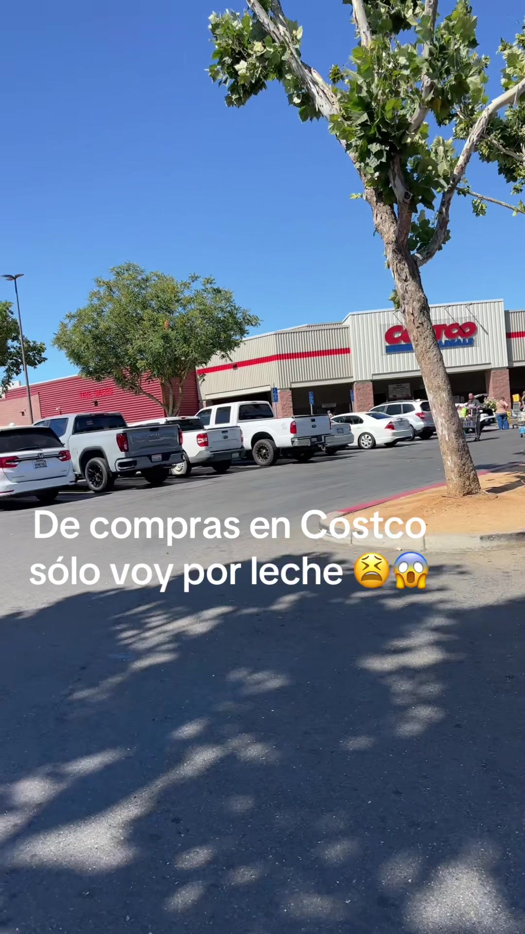 @Arlety