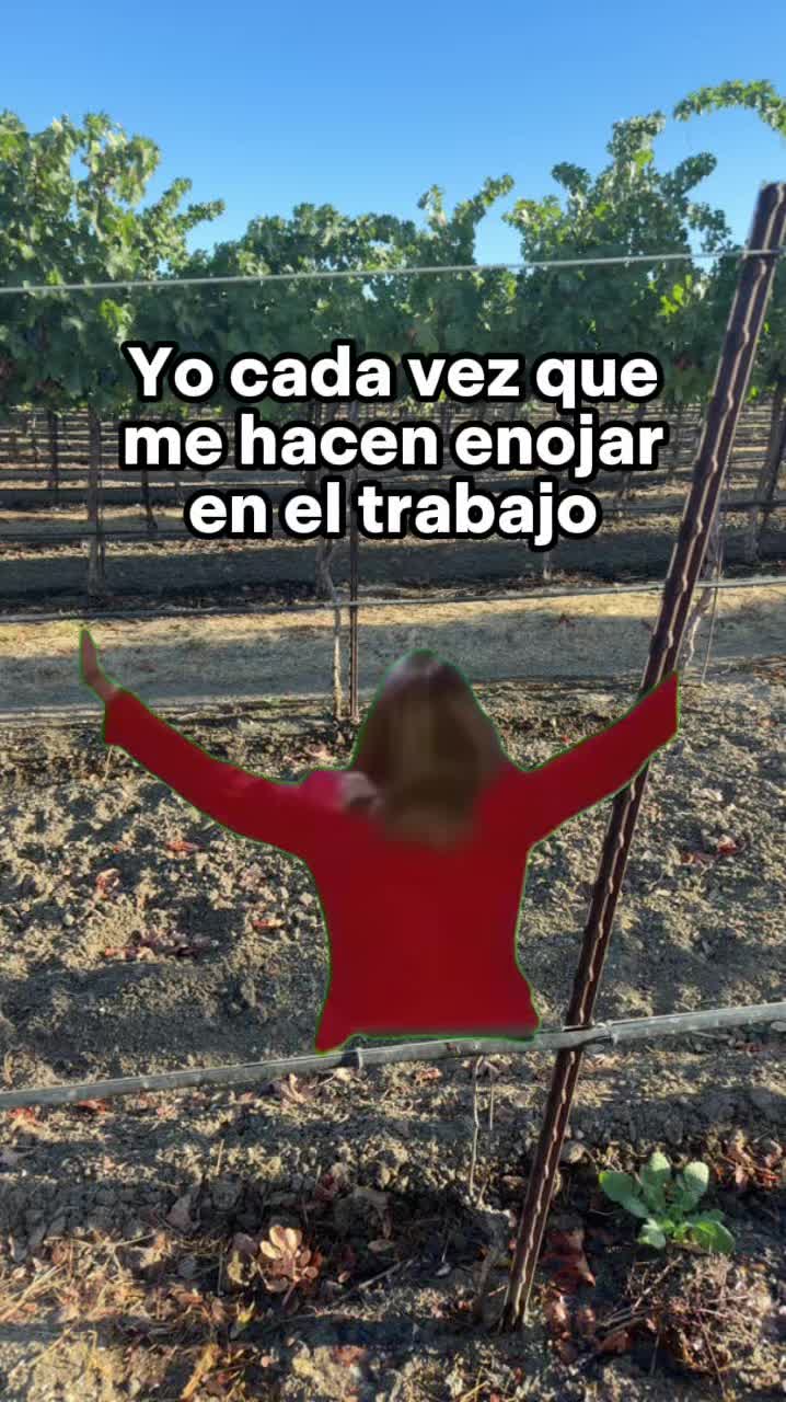 @Sandra Santiago