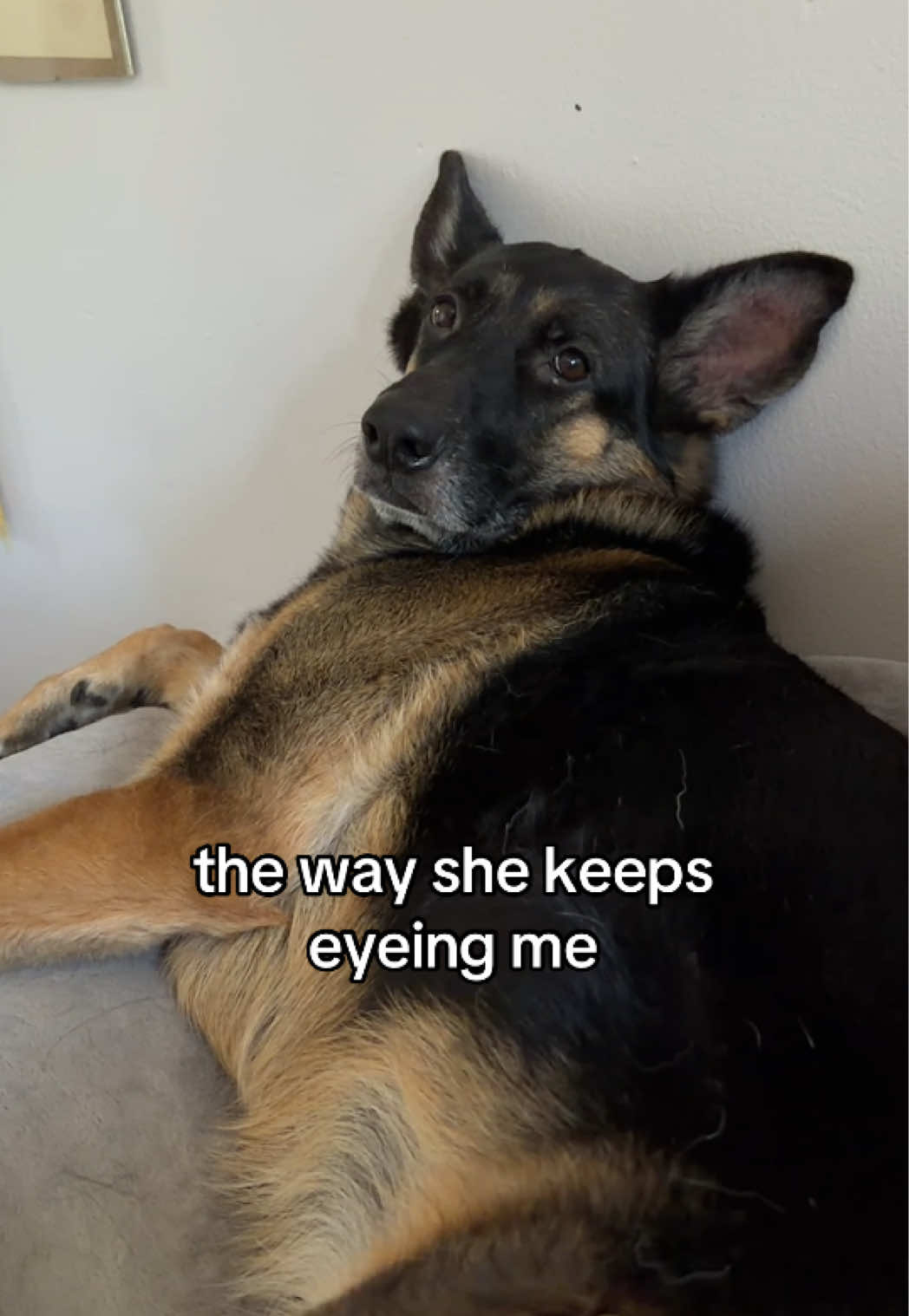 @Beau and Maja