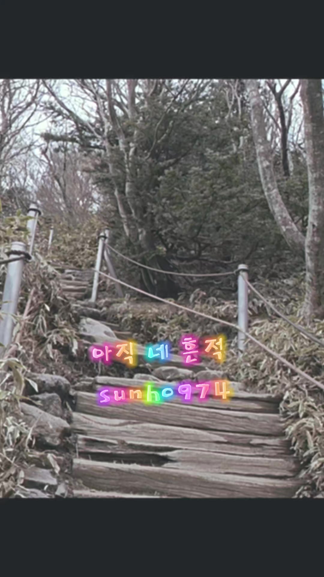 @sunho974