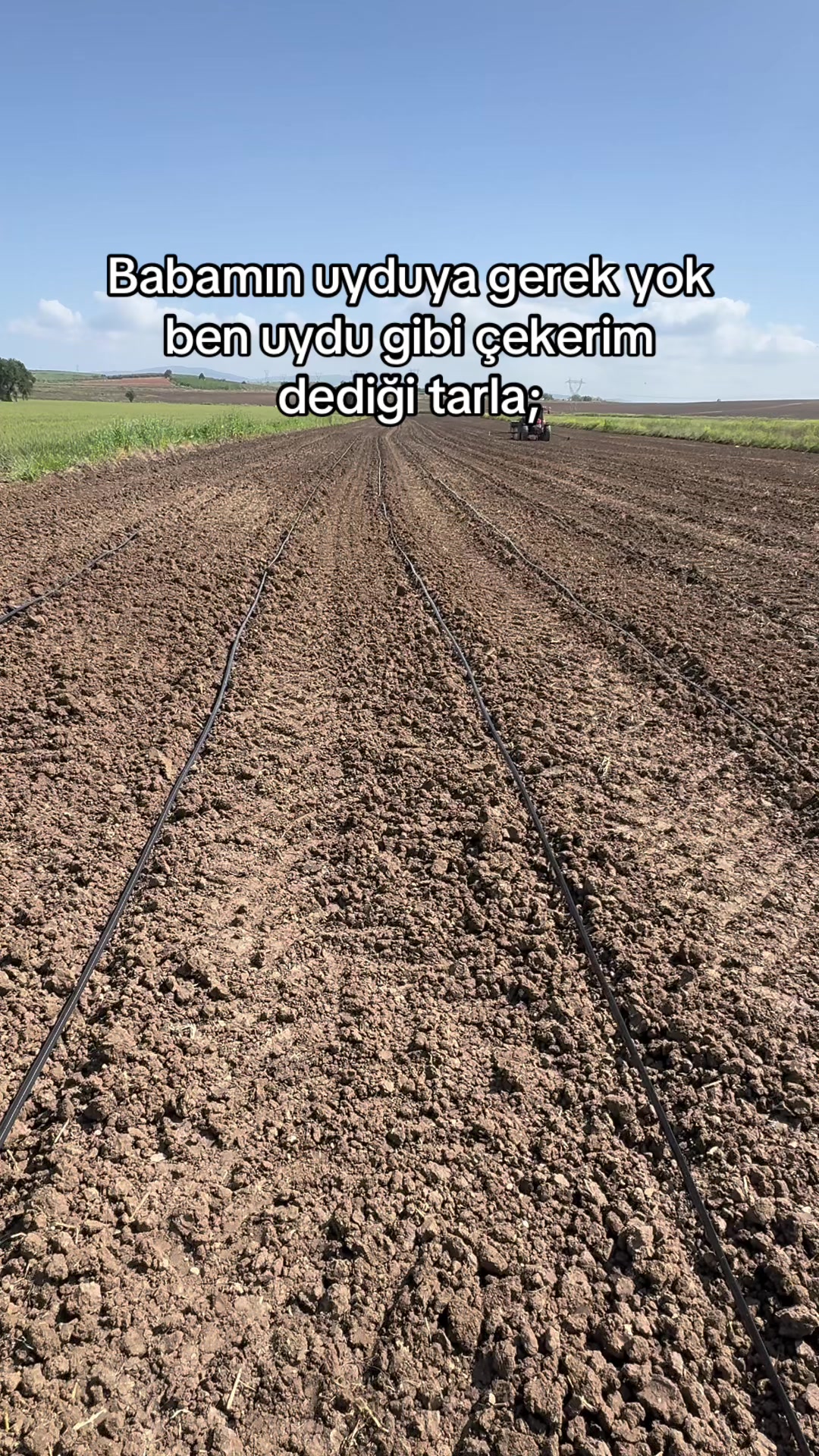 @gozde
