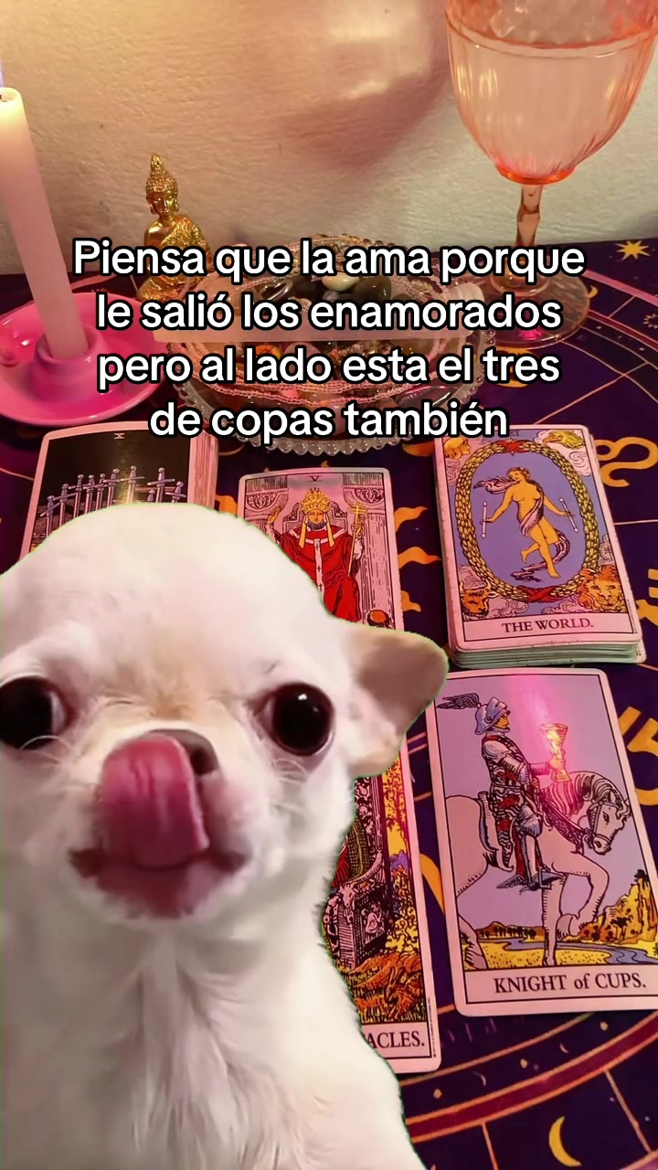 @Bleu