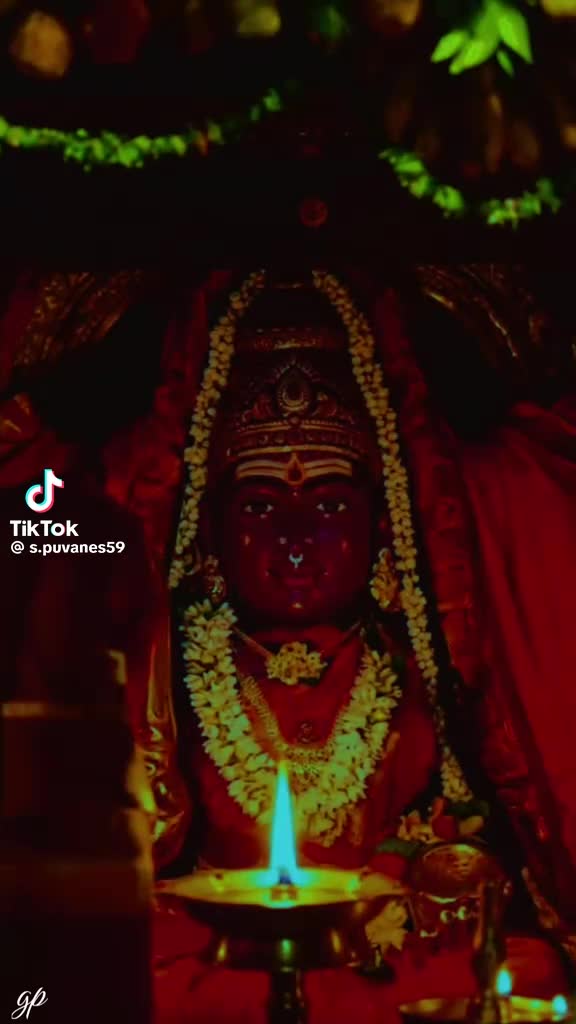 @Kutty Kutty