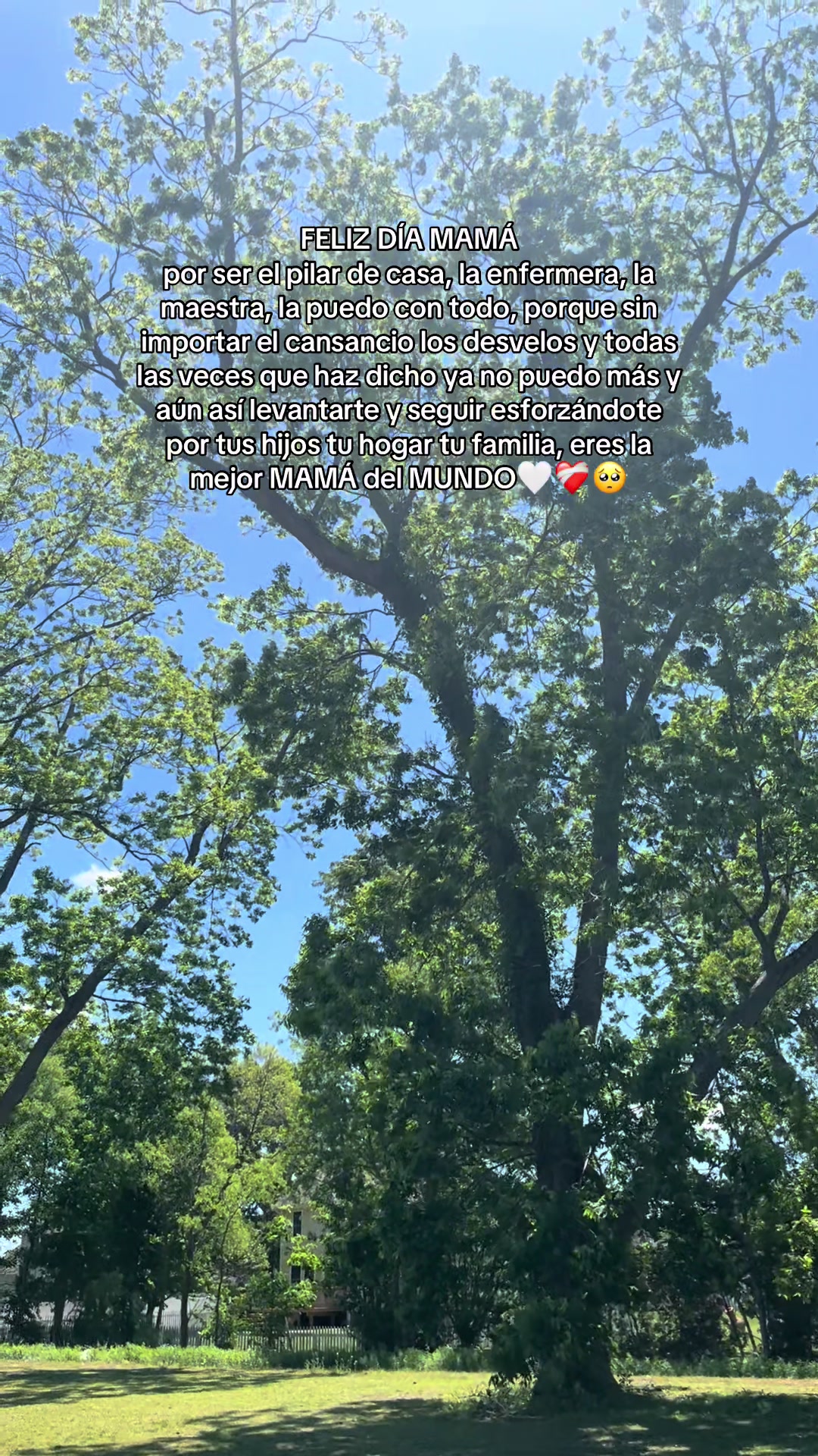 @🎀 𝓥𝓪𝓵𝓮𝓷𝓽𝓲𝓷𝓪🧸