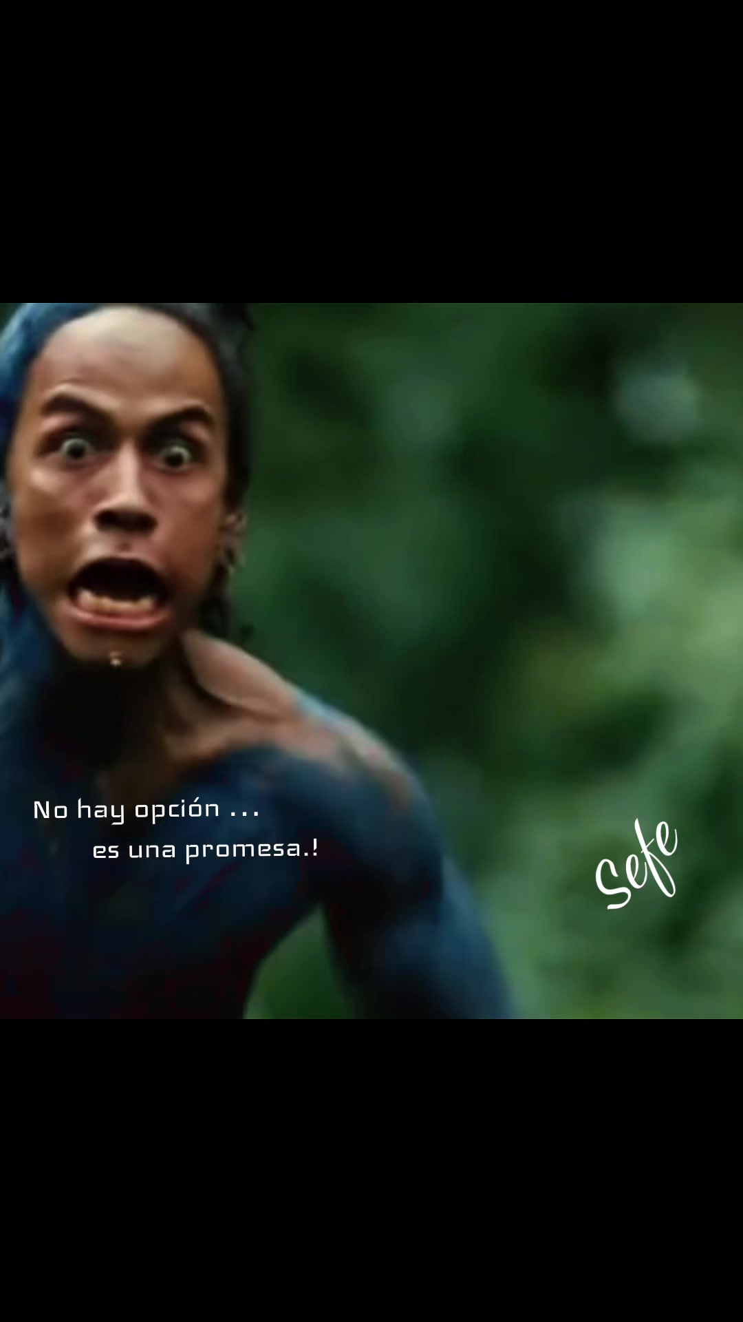 @SEFE