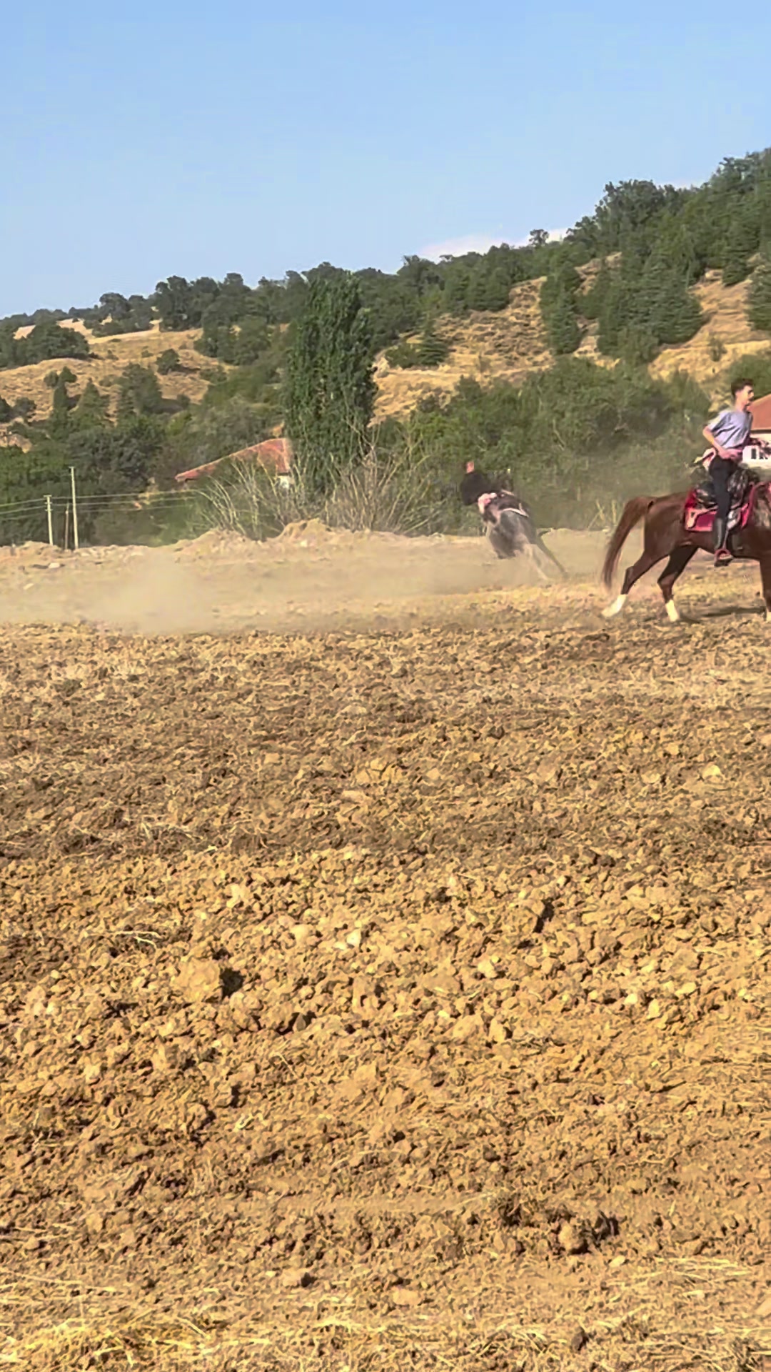 @Emre Kuş