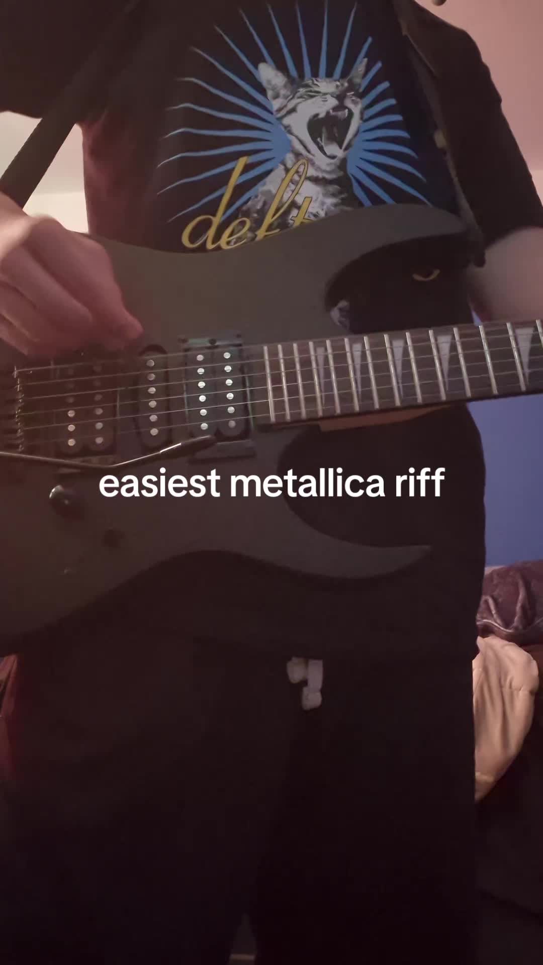 @slipknotfanvermillion