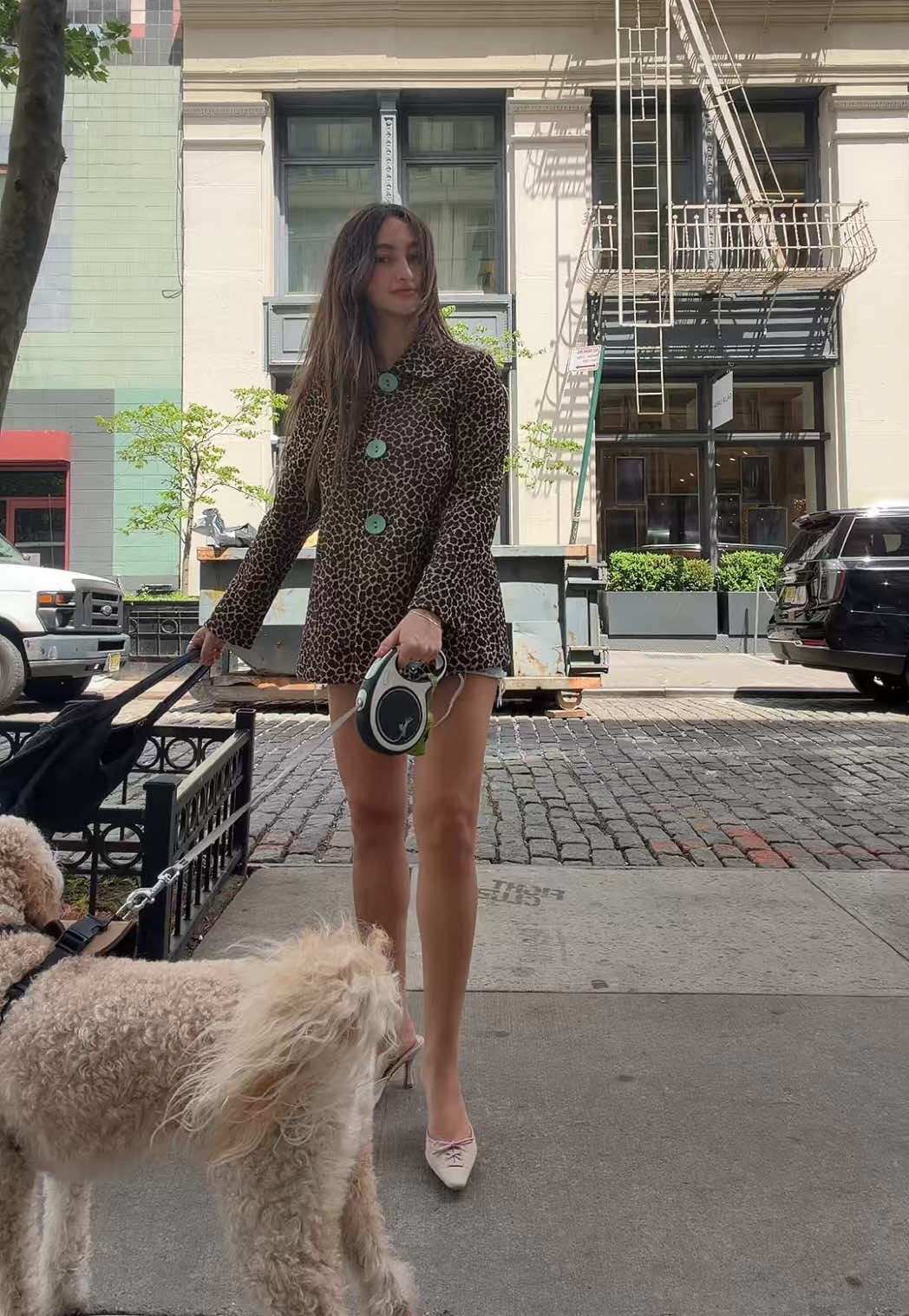 @Ava Ganz