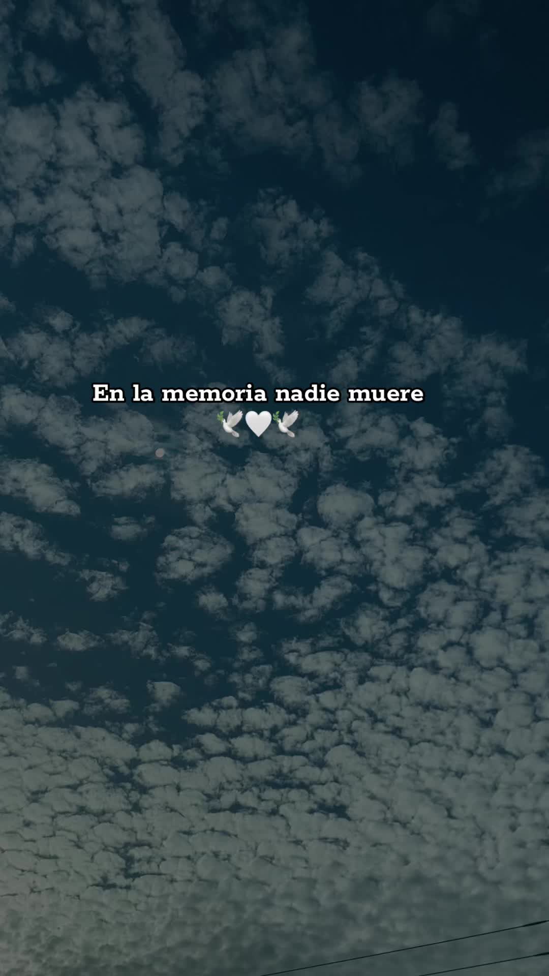 @Marisol