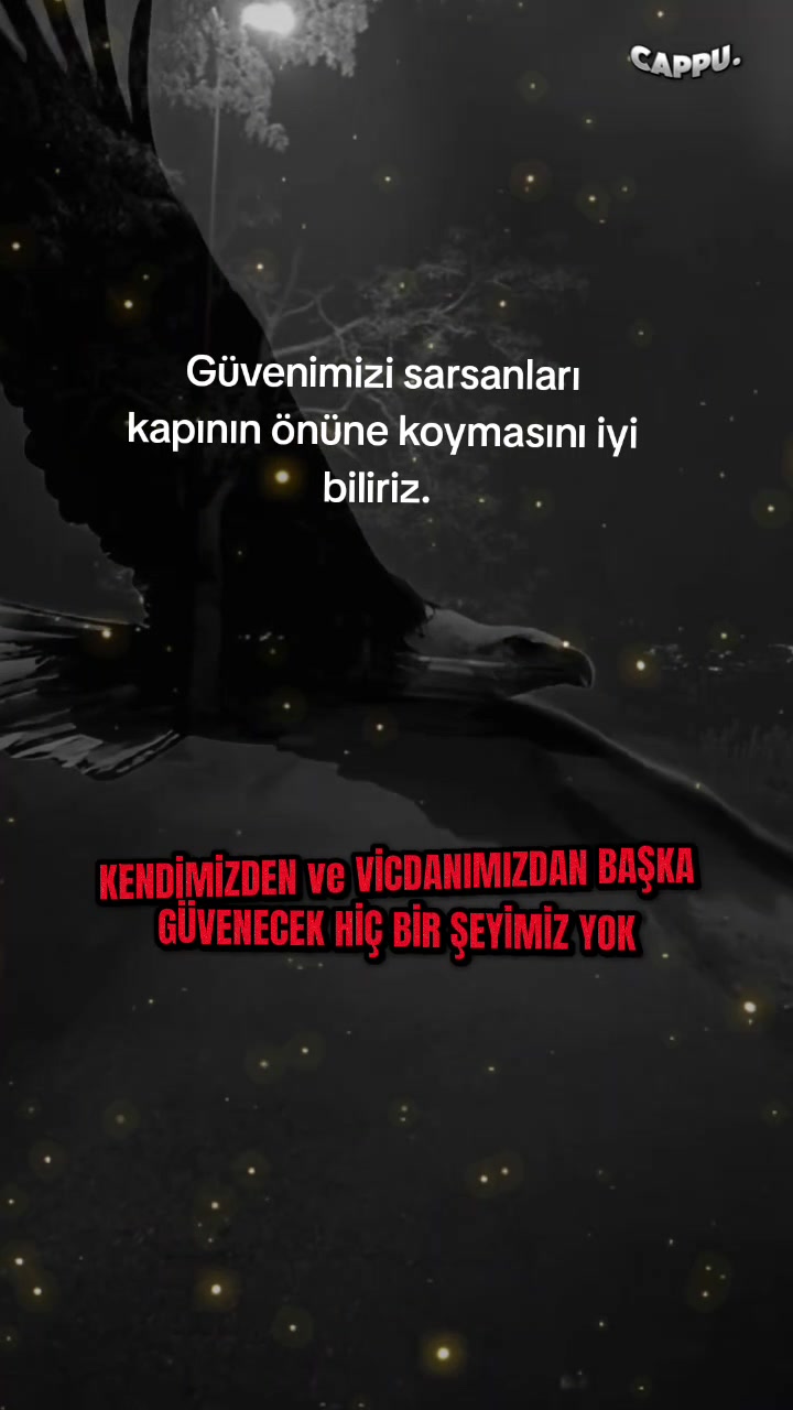 @Yildiz Rizeli 53 34