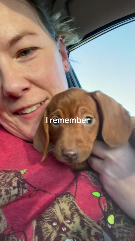 @Sarah and the Peanuts
