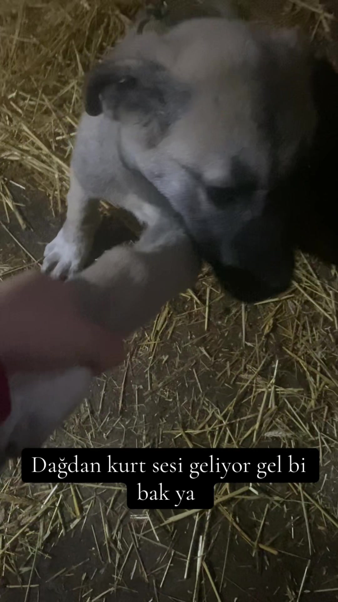@BERNA & OKTAY