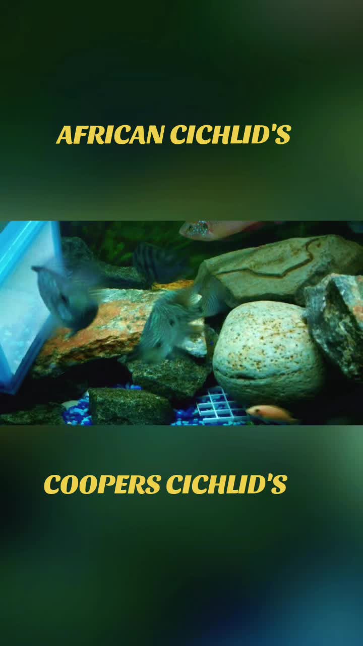 @CHEFCOOPER69