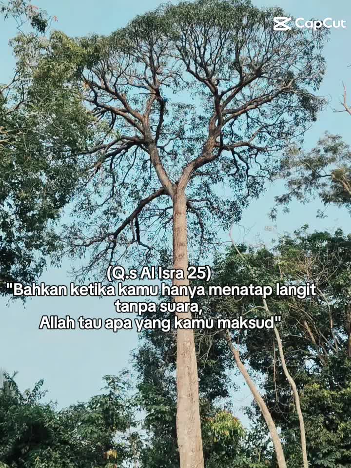 @hambaà