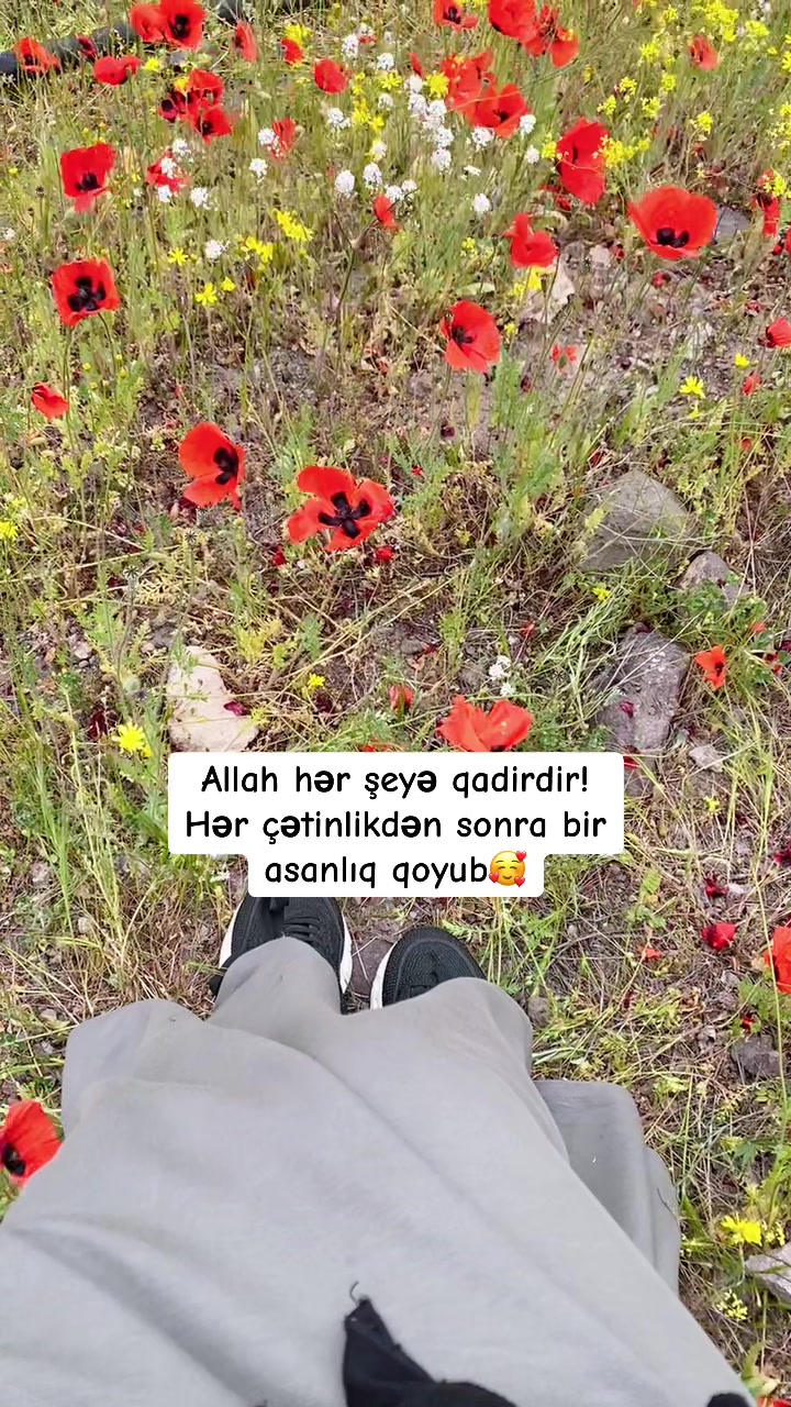 @_gulu_313