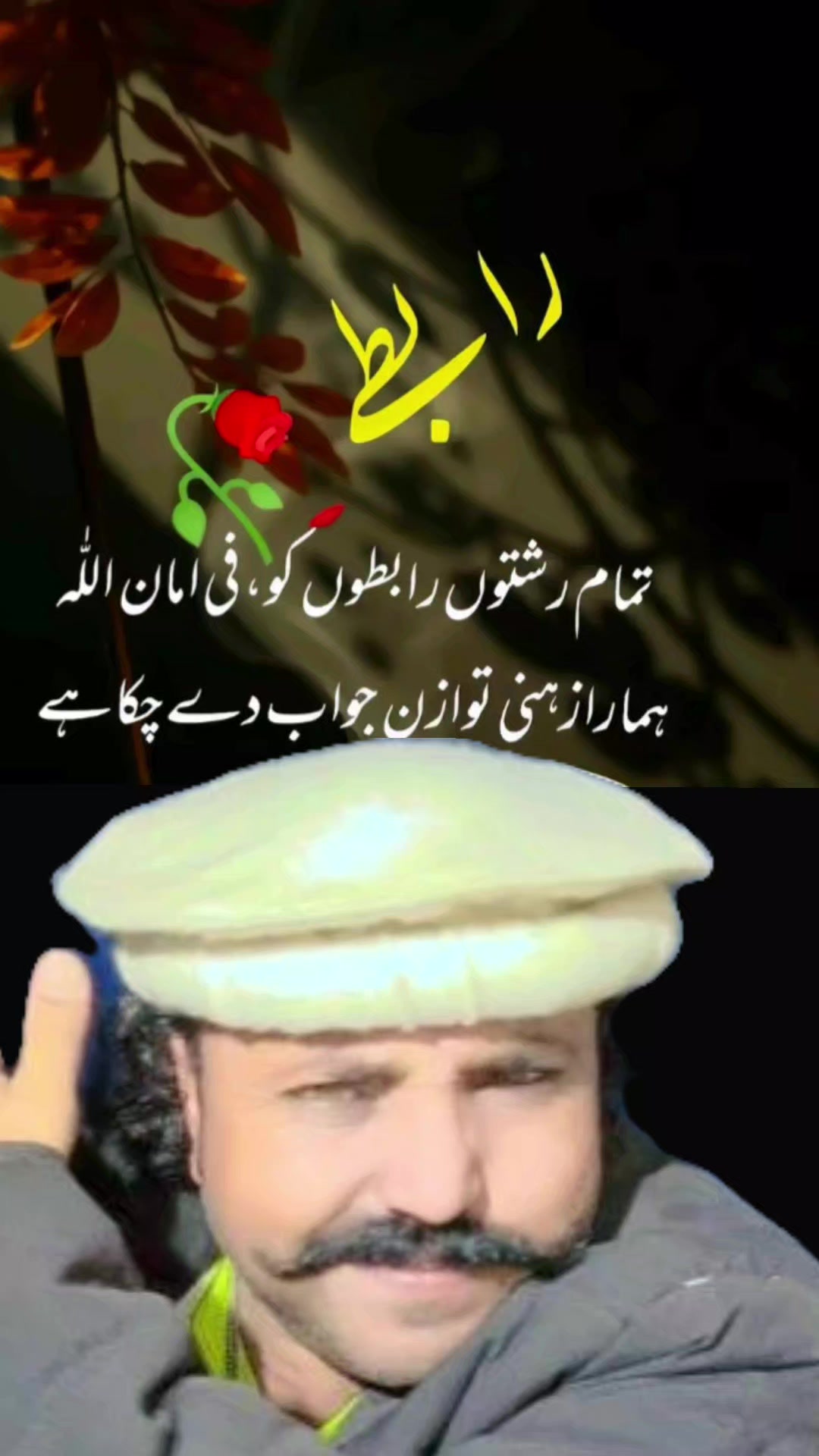 @Aurangzeb awan