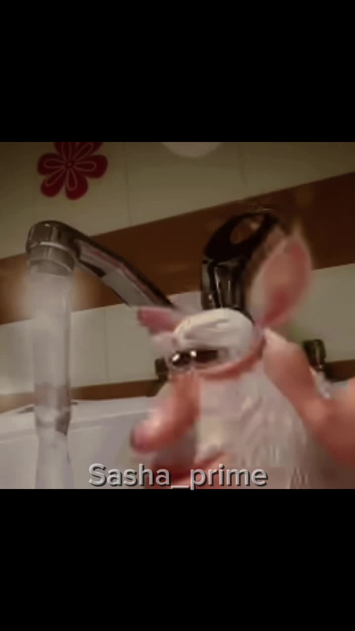 @Sasha_prime