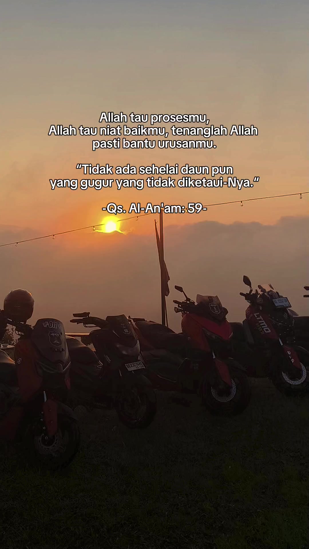 @HALLO BR4Y