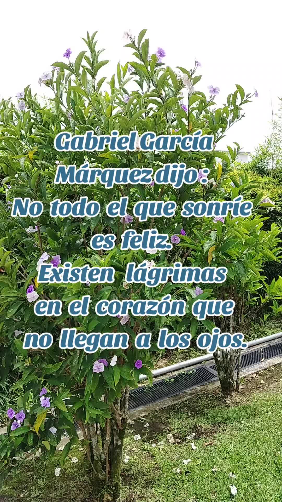 @Mery🥰🌹🌷