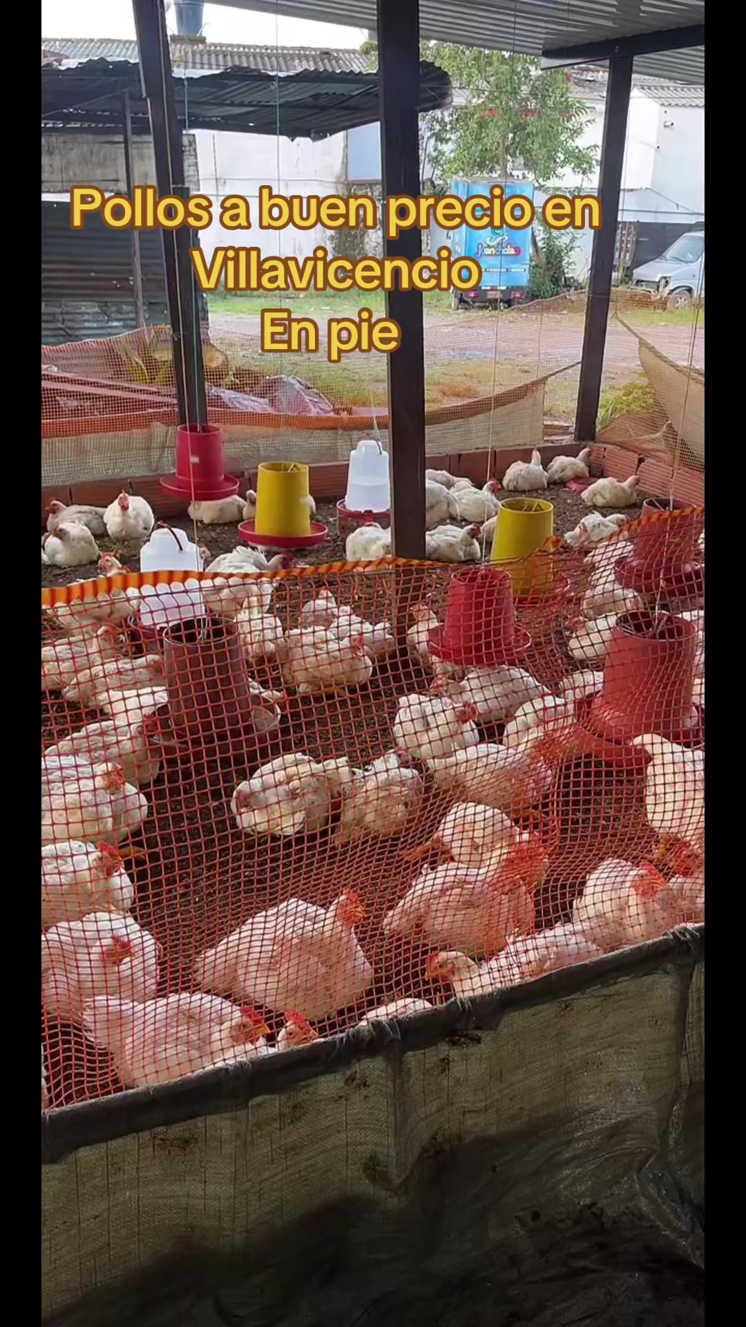 @elmagnatedelospollos