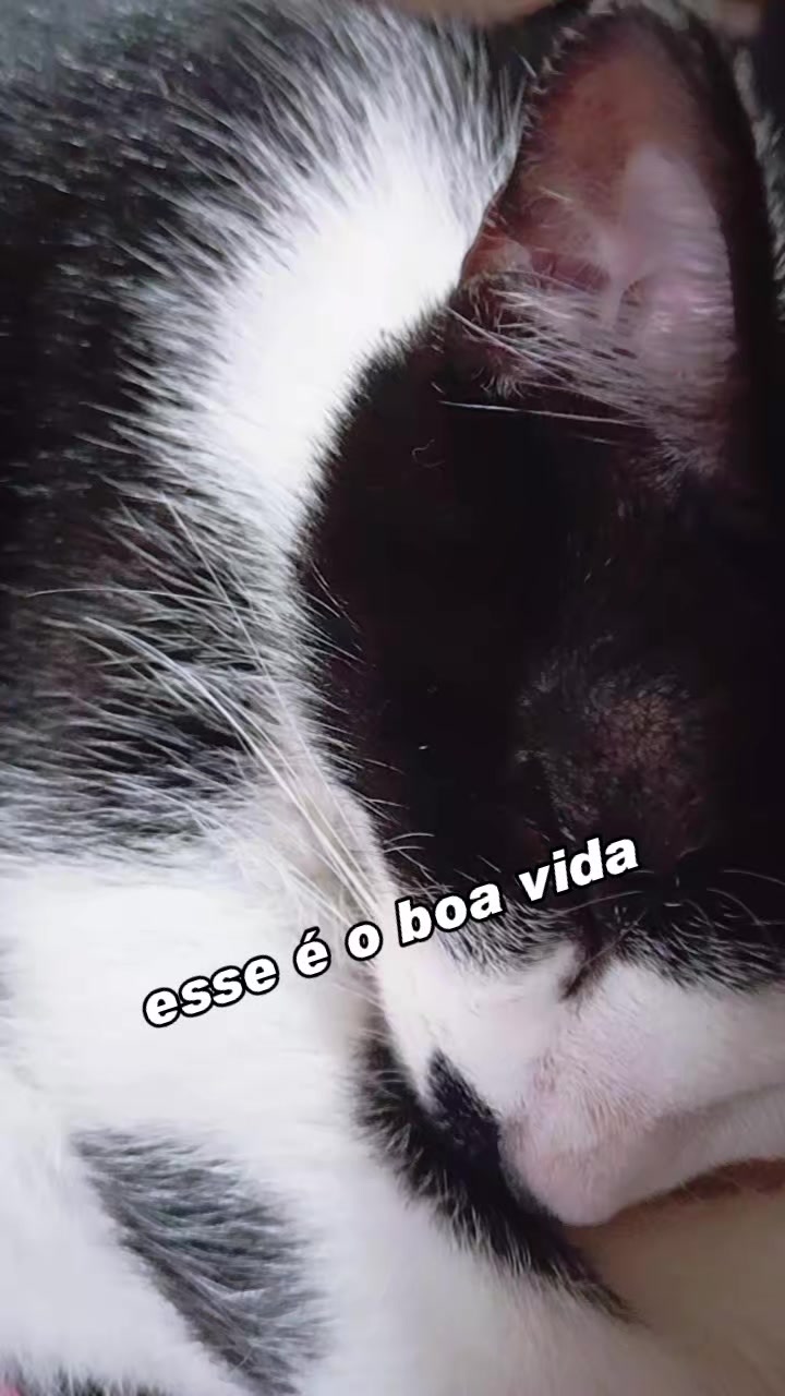 @🇧🇷antonioglaubercezarmendes