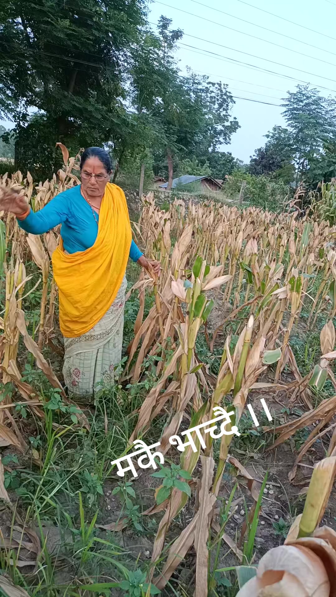 @Madhavi Bhatta