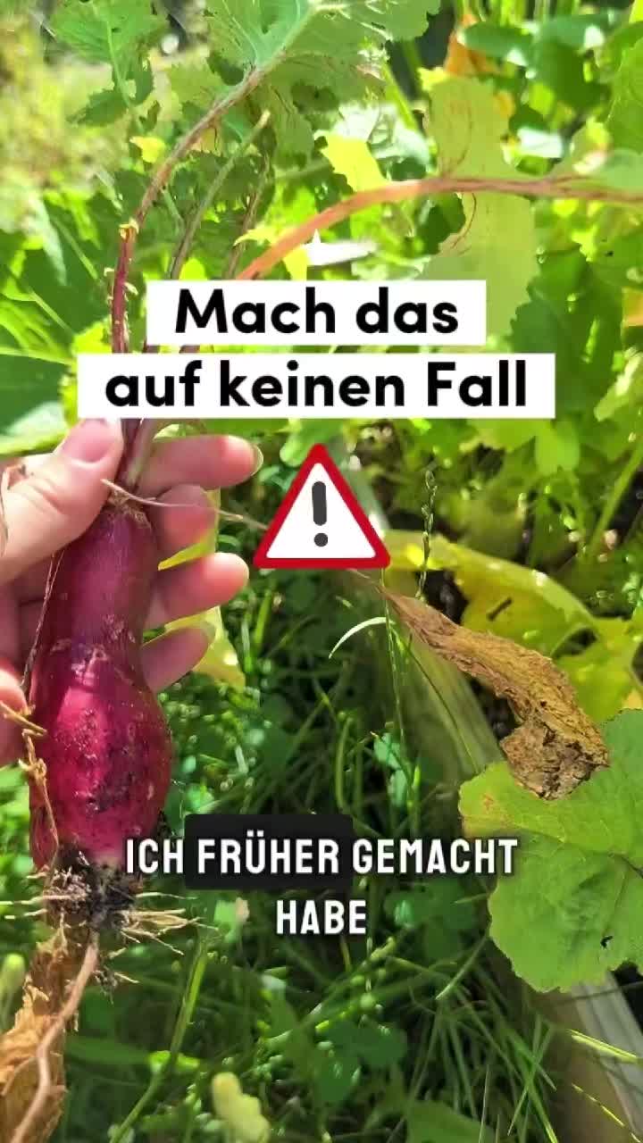 @ErnteExperte