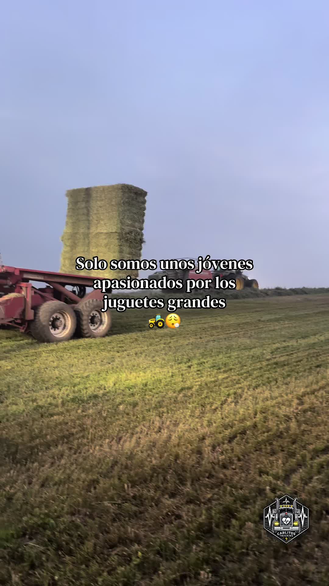 @MARTÍN 🍃