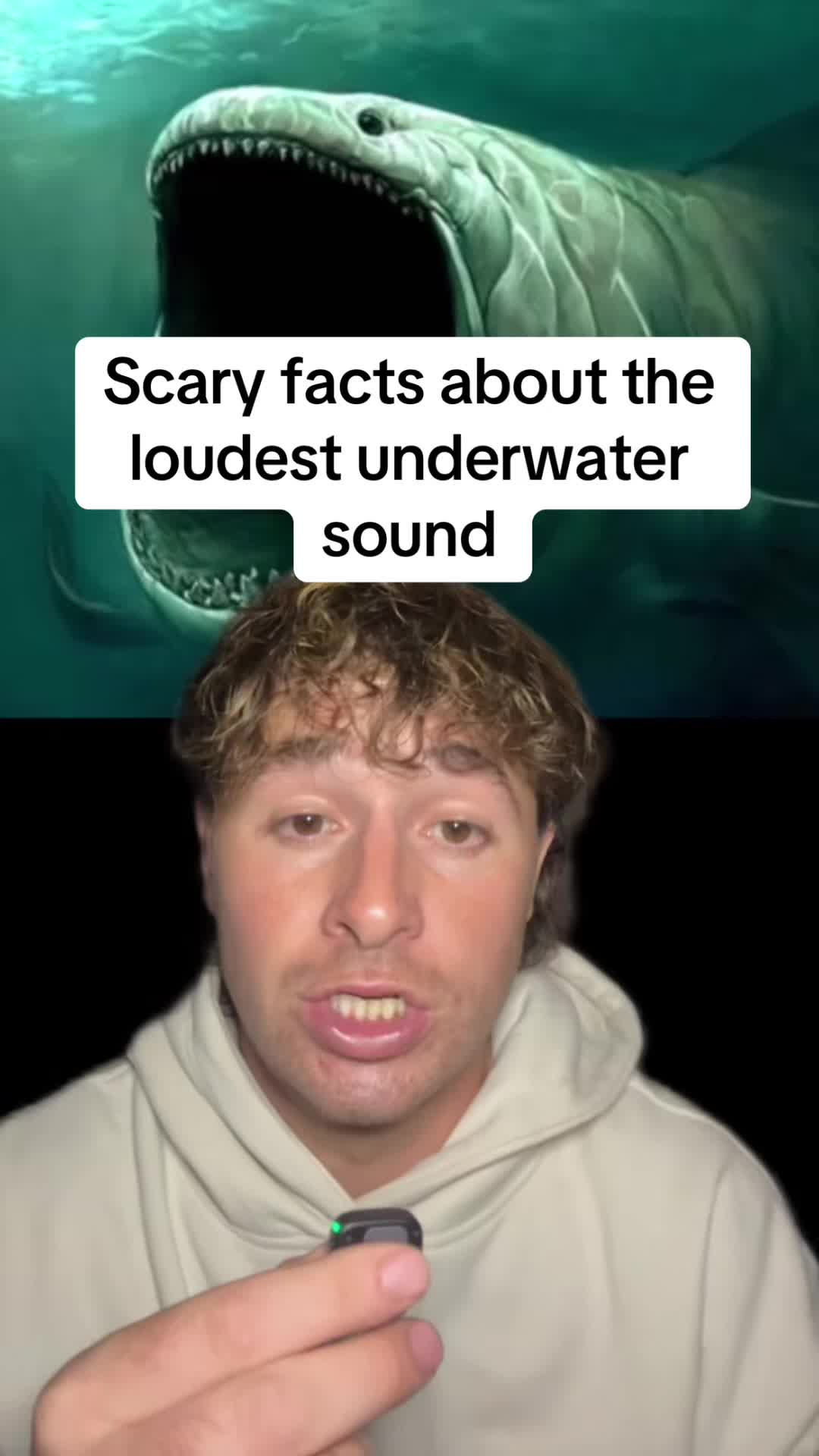 @Blayce
