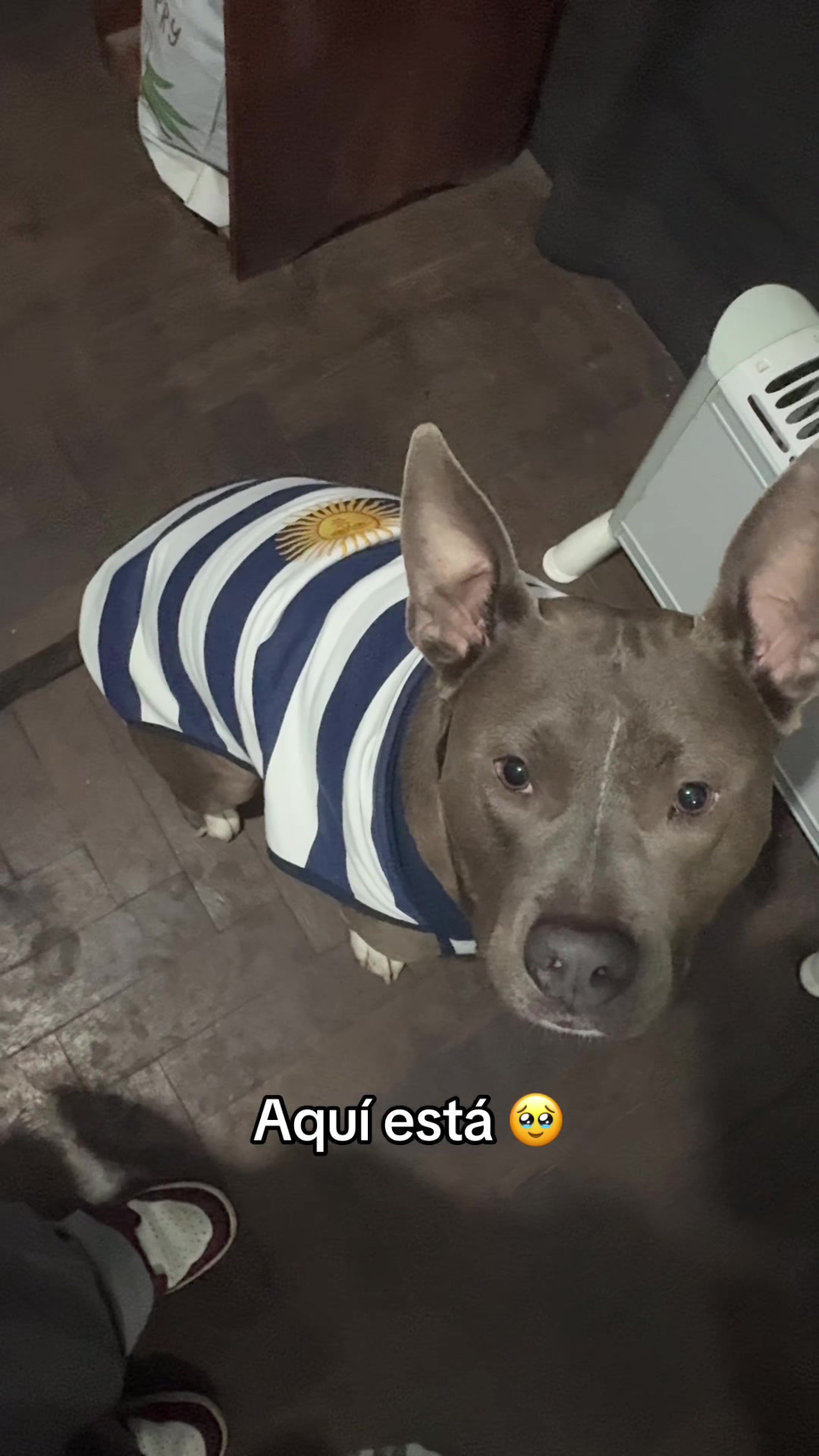 @Giulietta
