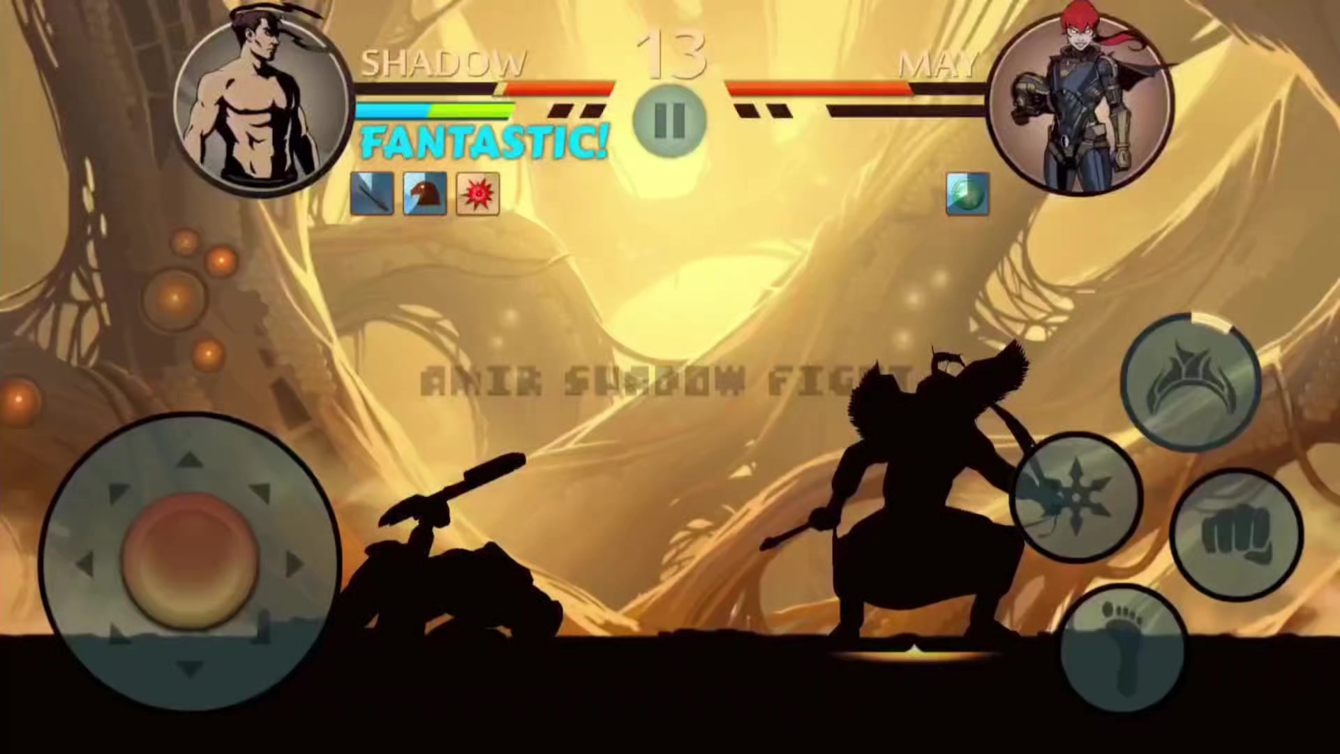 @Amir Shadow Fight