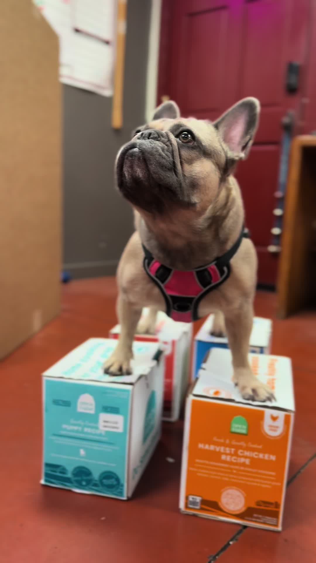 @Petfooddepotaz