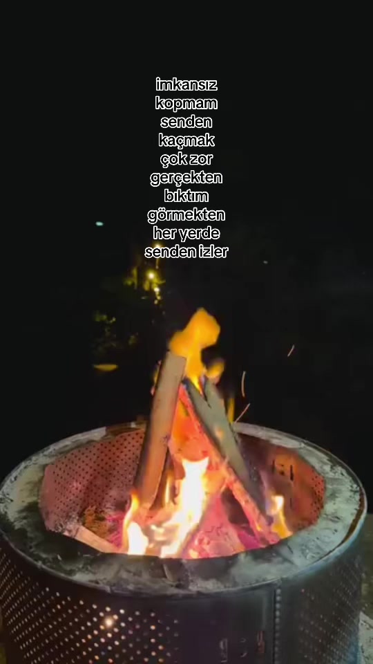 @𝓩𝓮𝔂𝓷𝓮𝓹🐅