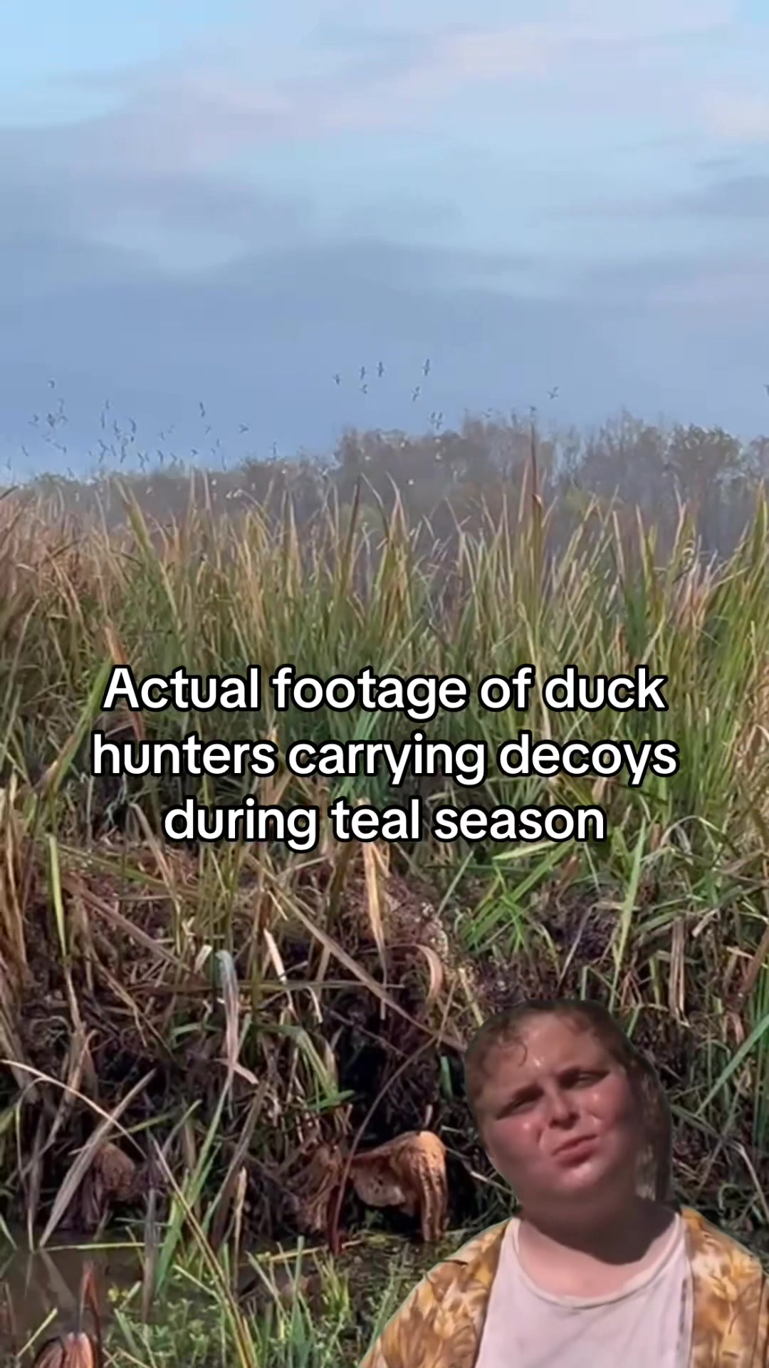 @American Mallard