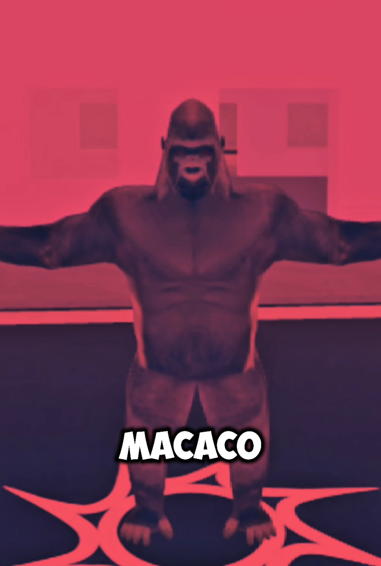 @Mz coelhão