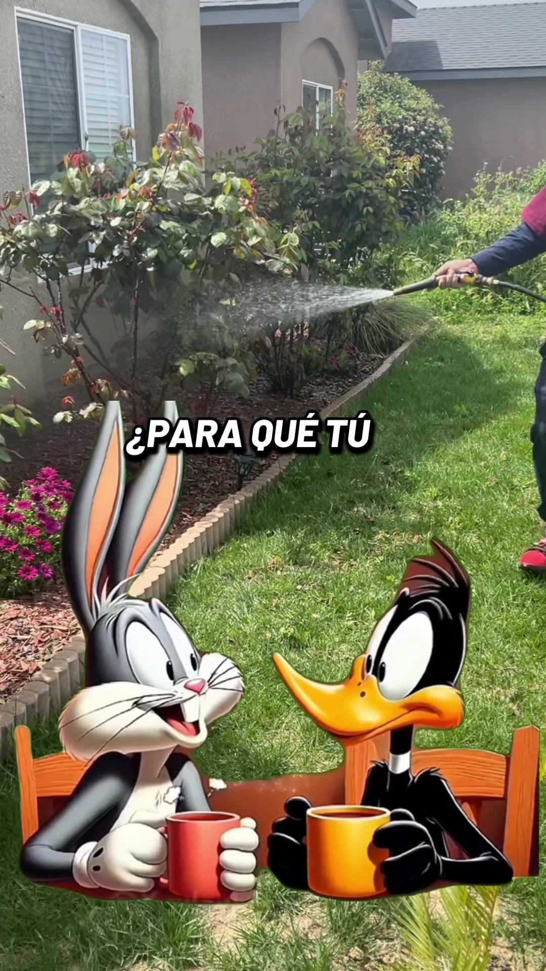 @Morena