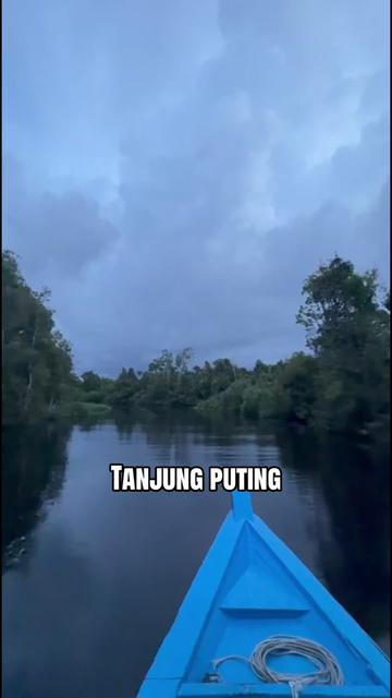 @Wonderful Tanjung Puting