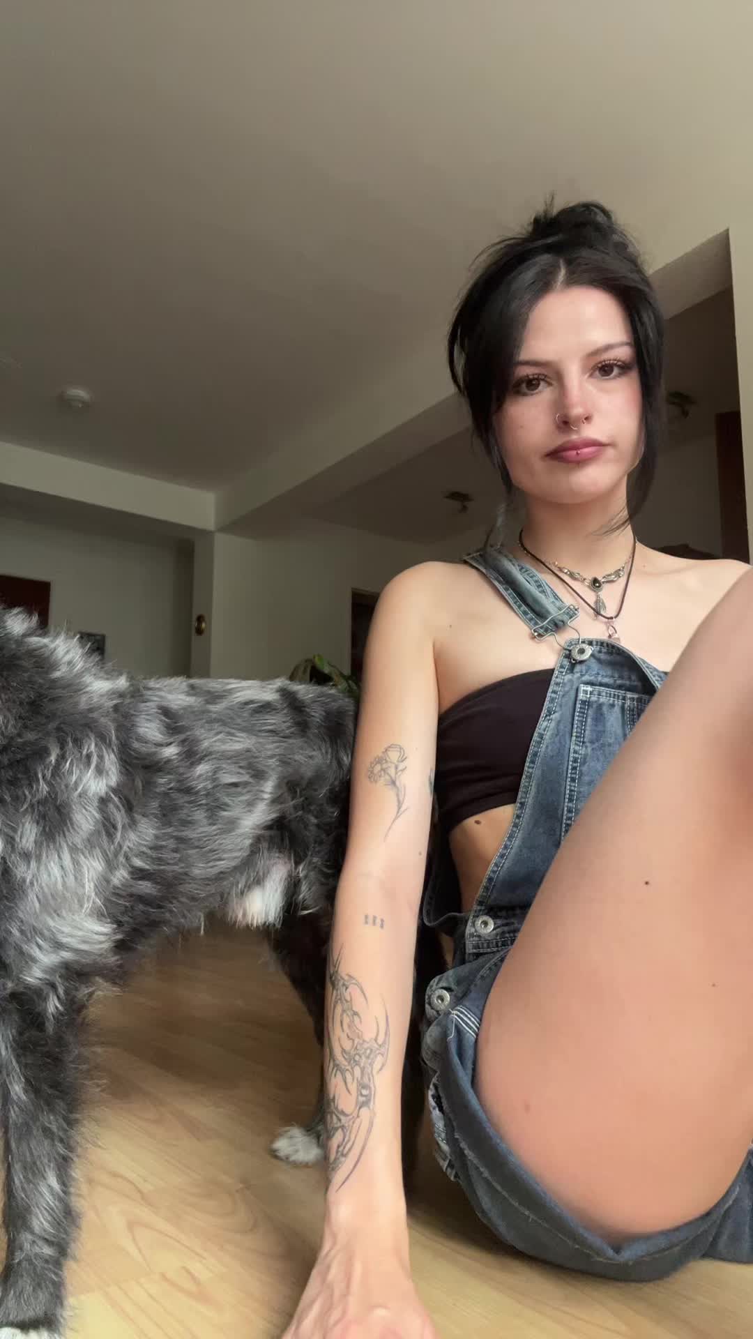 @thebojackhorsegirl