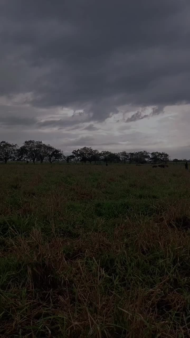 @&AElig;lexx.Ramirez.mendez