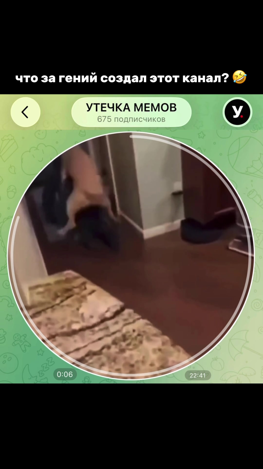 @тгк: memeute