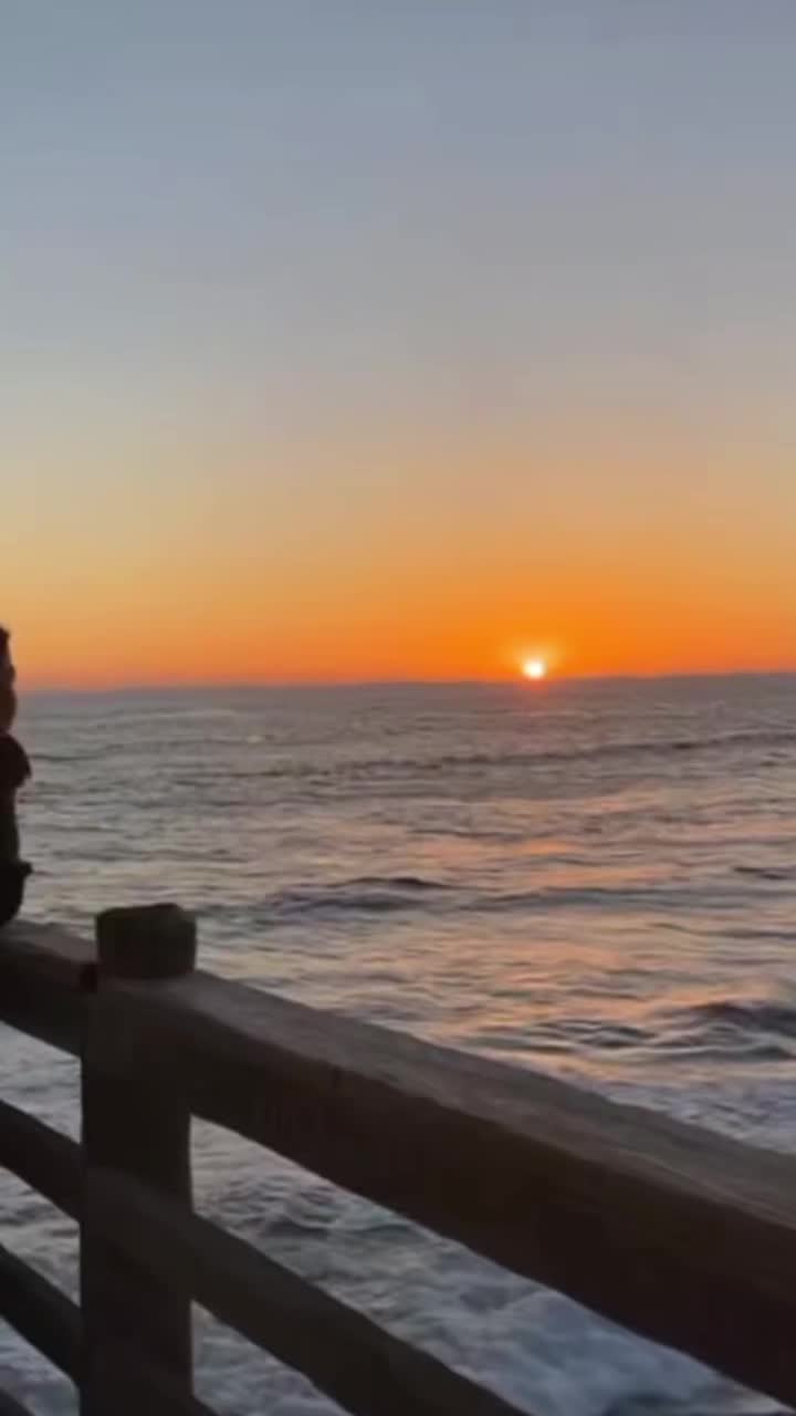 @𝑨𝑵𝑫𝑹𝑨 🌸