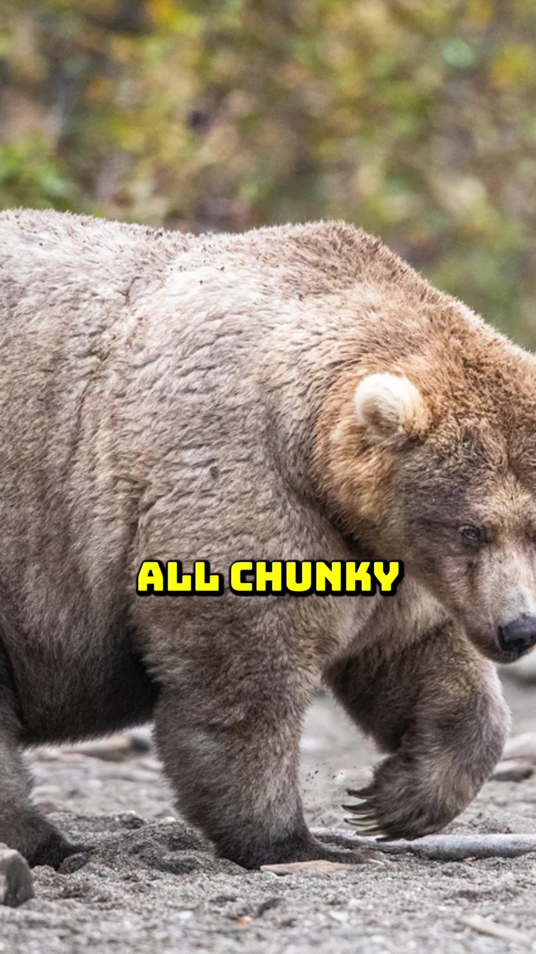 @bigdandbubba