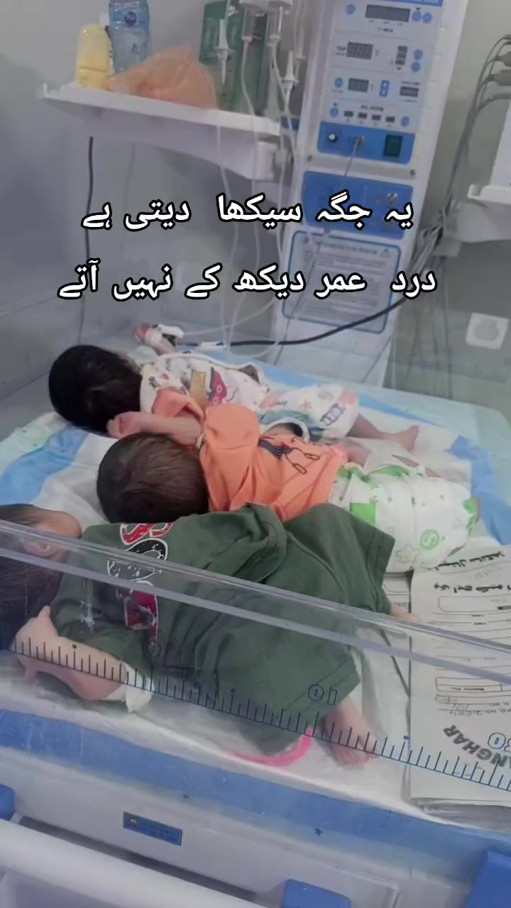@Dr Tanveer Mughal