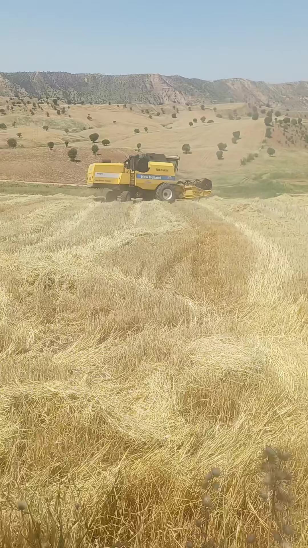 @yetiş çiçek