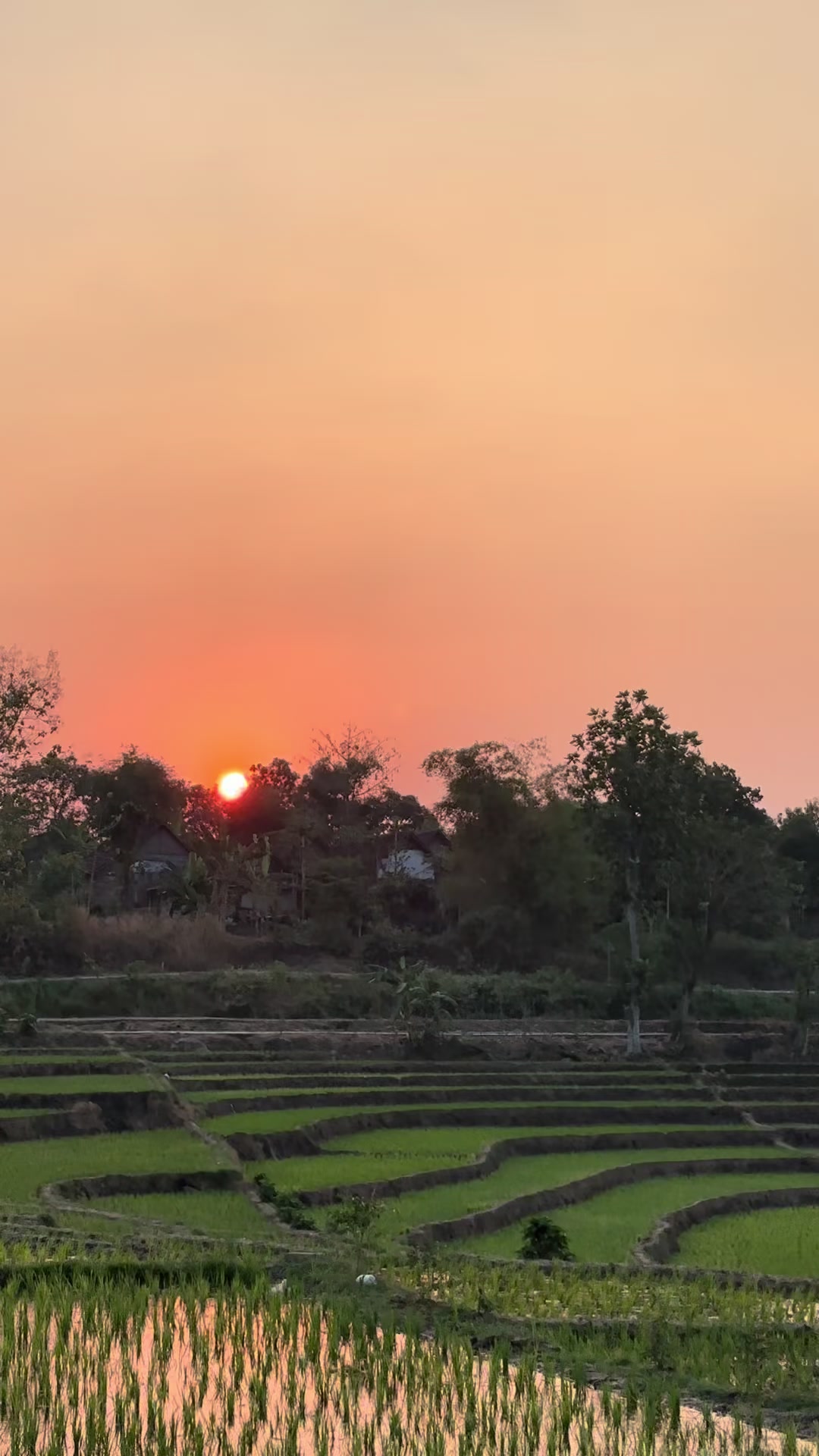 @Hiburan caruban