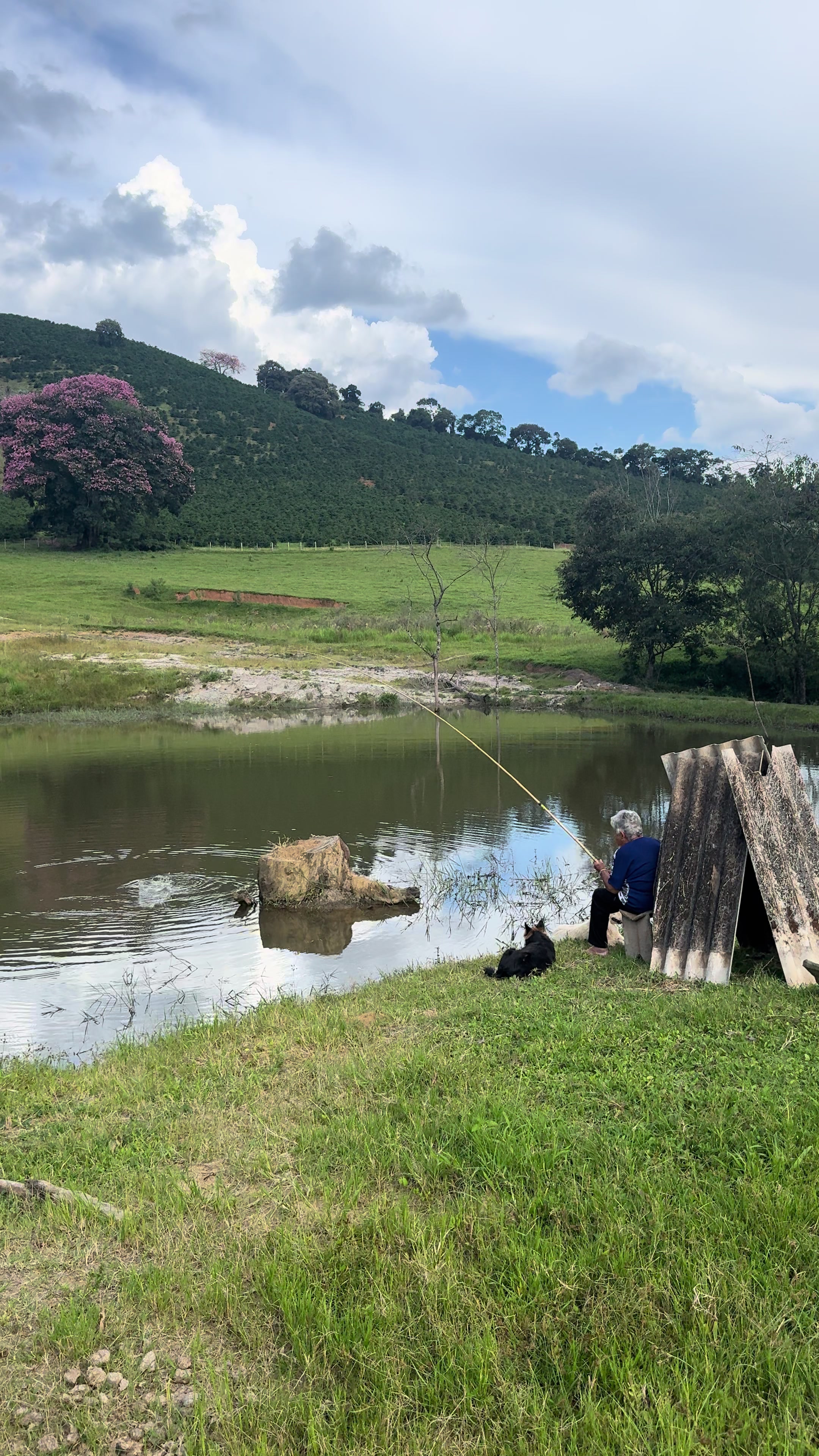 @MarcosSilverio71