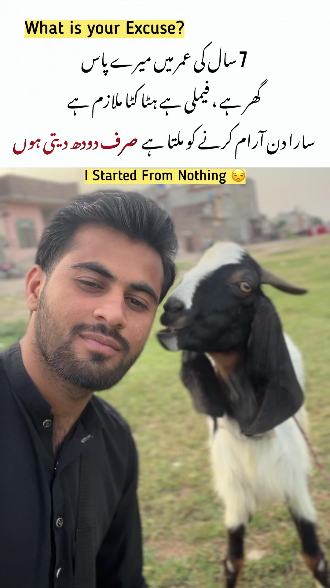 @Hussnain