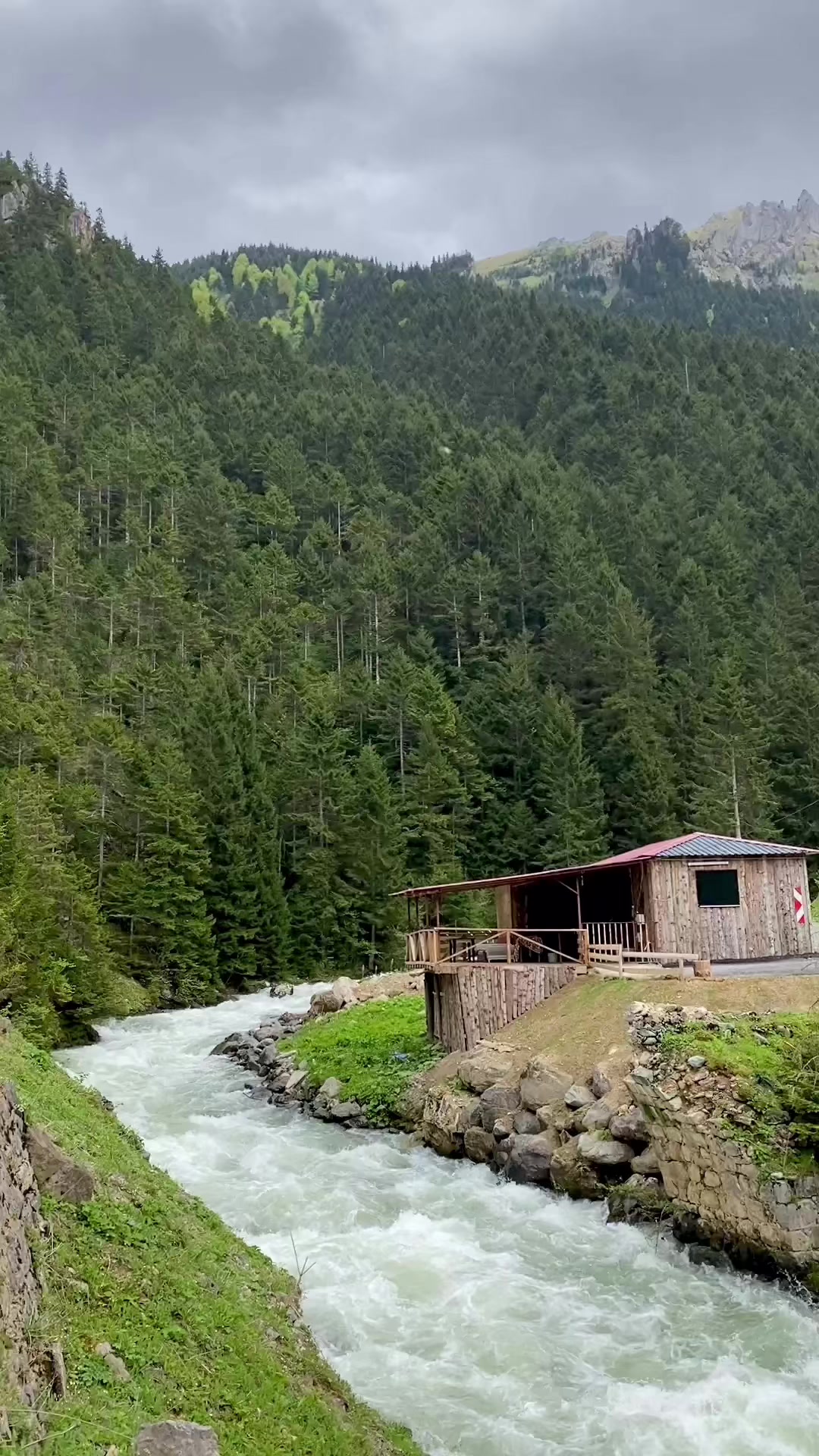 @_aslii61